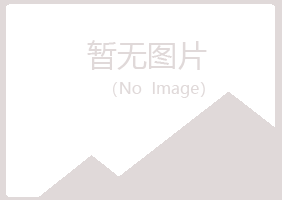 福建初夏能源有限公司